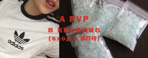 гашик Алексеевка
