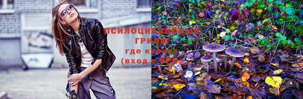 гашик Алексеевка