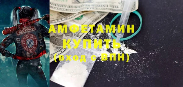 гашик Алексеевка