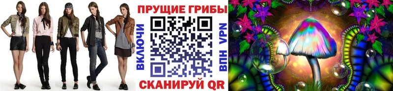 Псилоцибиновые грибы GOLDEN TEACHER  купить наркотик  Олонец 