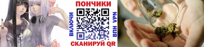 мега рабочий сайт  Олонец  Бошки Шишки SATIVA & INDICA  где можно купить наркотик 